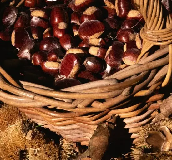 LA CASTAGNA